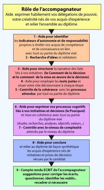 arborescence